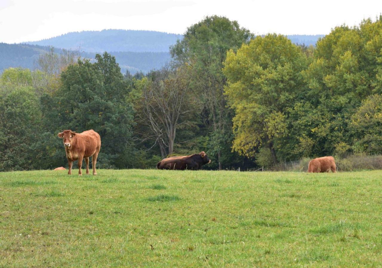 Ferienhaus Vulkaneifel Kopp Εξωτερικό φωτογραφία